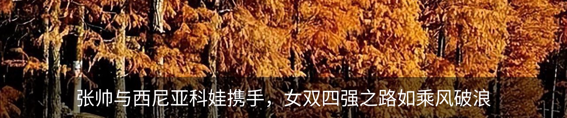 新闻中心